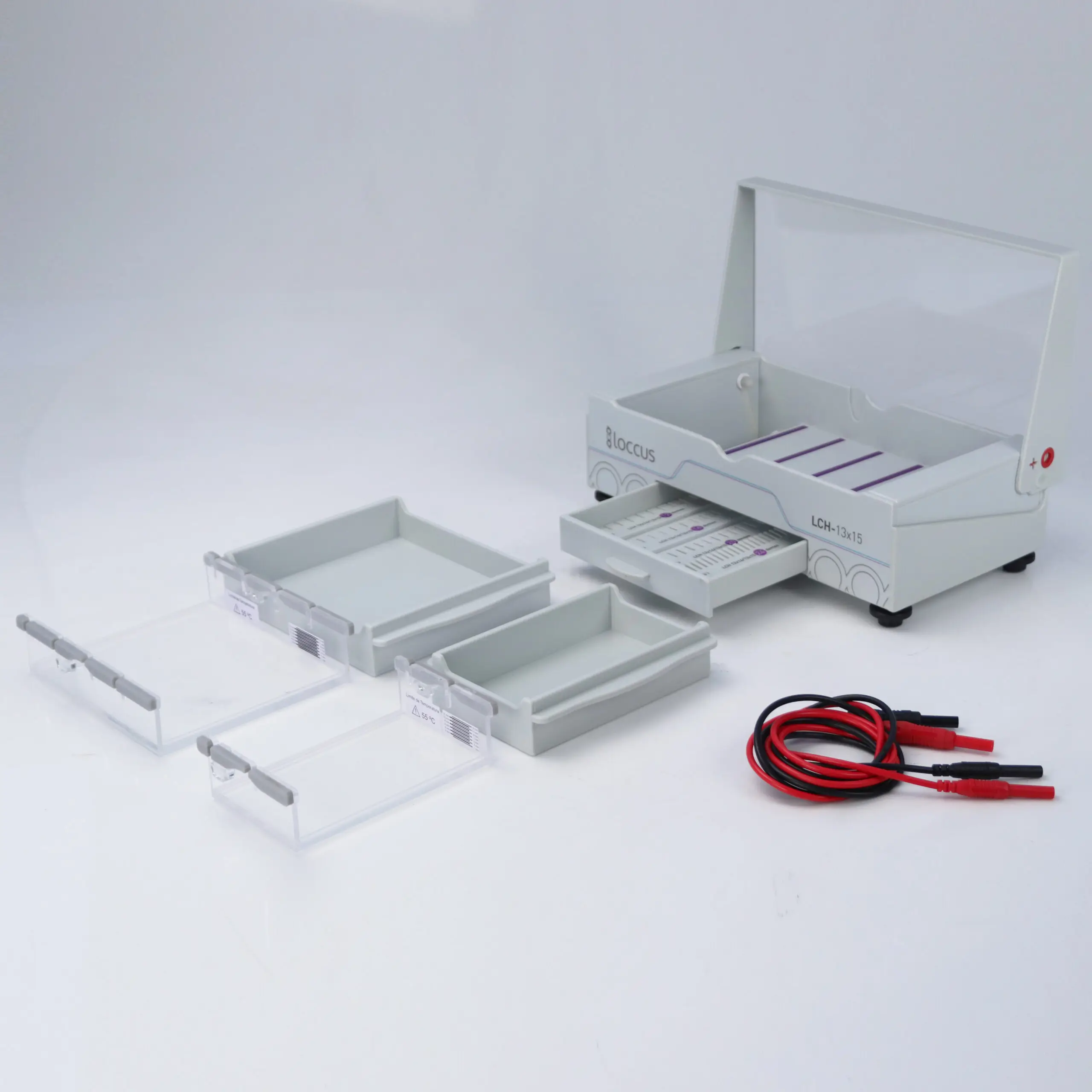 Sistema de eletroforese horizontal LCH 13x15