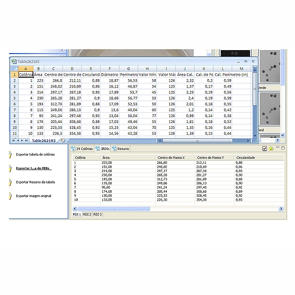 Software LABIMAGE CC Tabela
