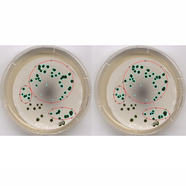 Software LABIMAGE CC Detalhe