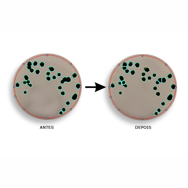 Software LABIMAGE CC Antes e Depois