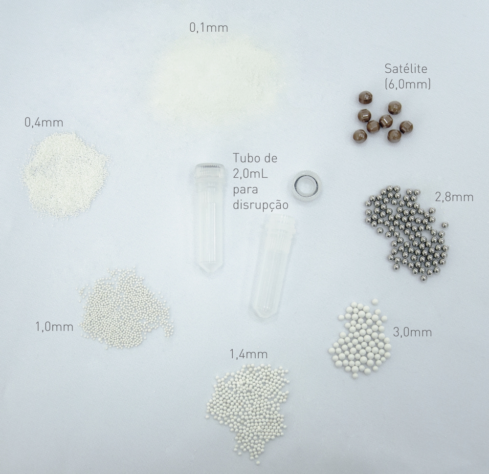 beads com nomes