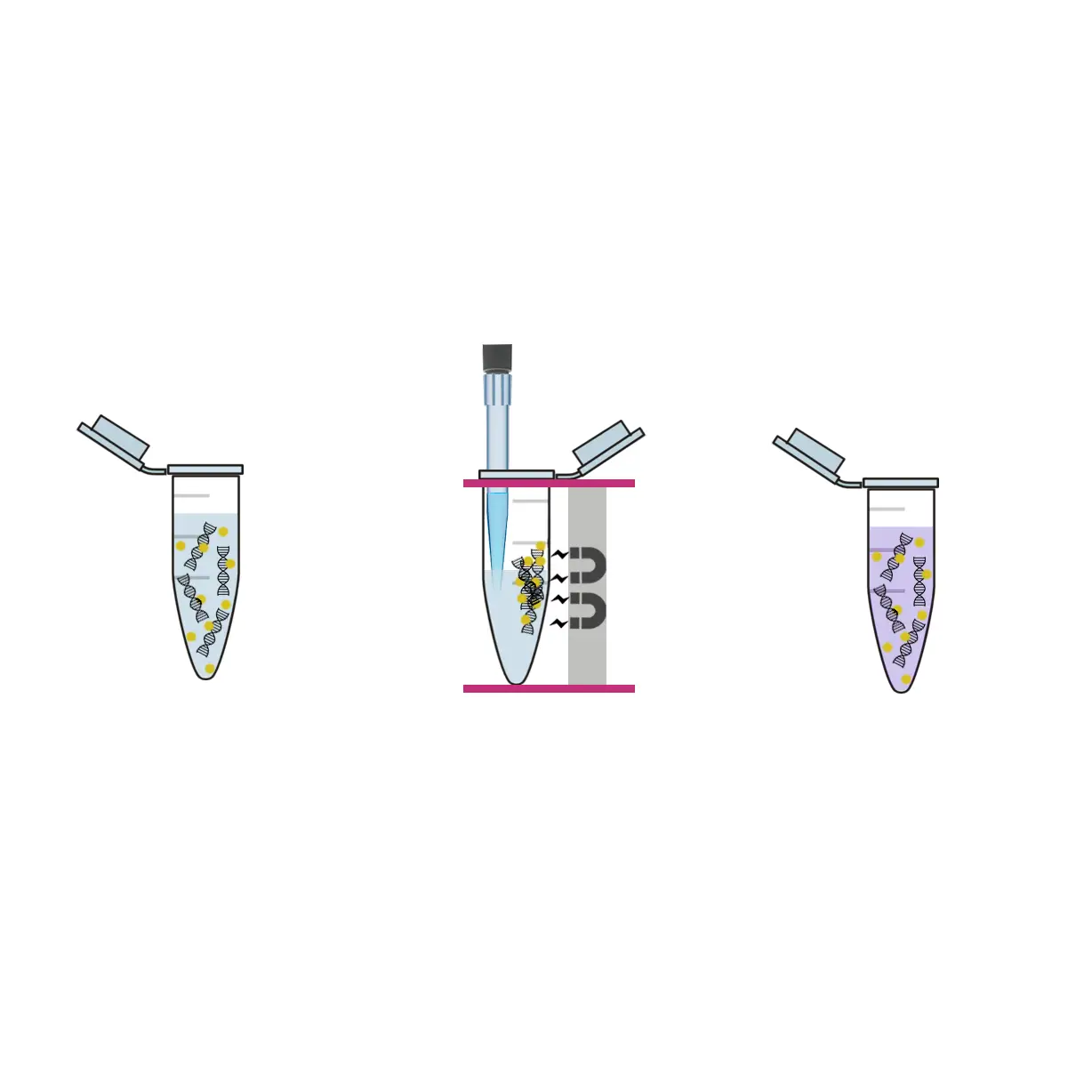 Esquema atração beads EXTRACTA