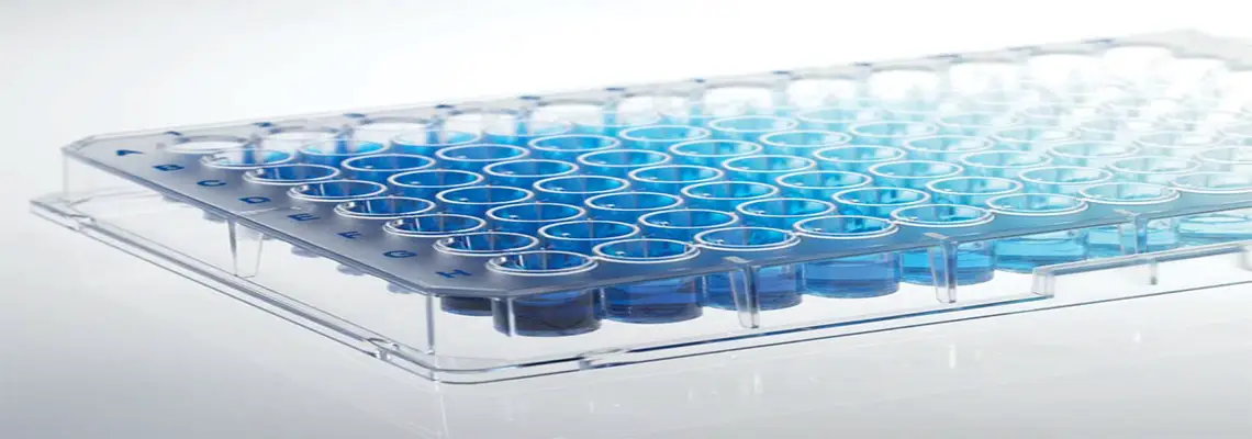 ensaio em placa de 96 poços