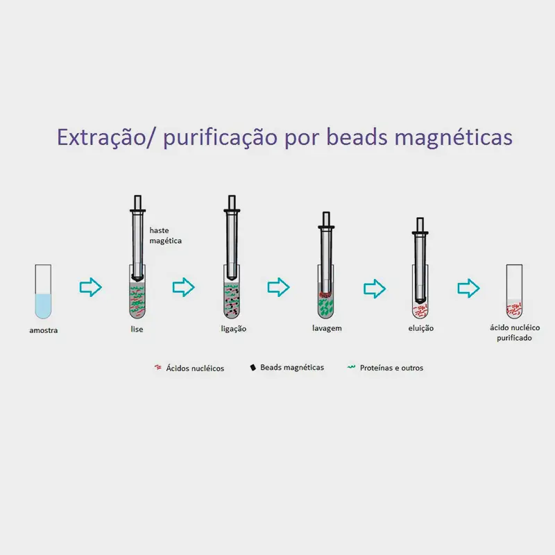 extracta-32-beads-magneticas-01
