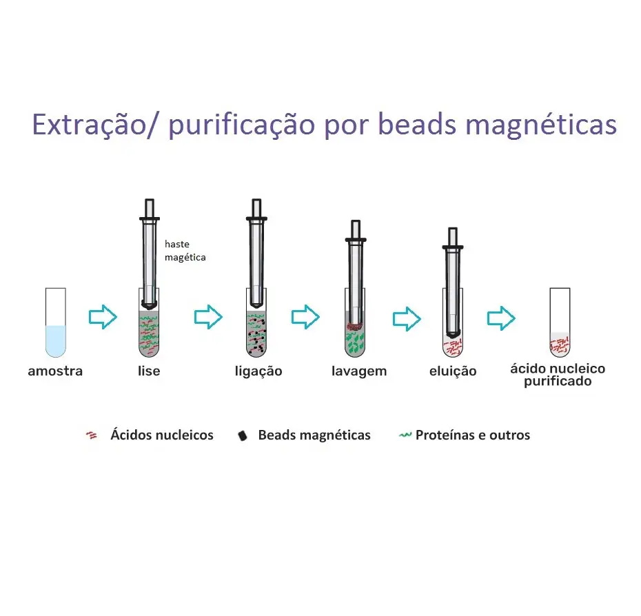 loccus-extracao-por-beads-magneticas